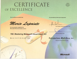 Microsoft Visual Basic 1988